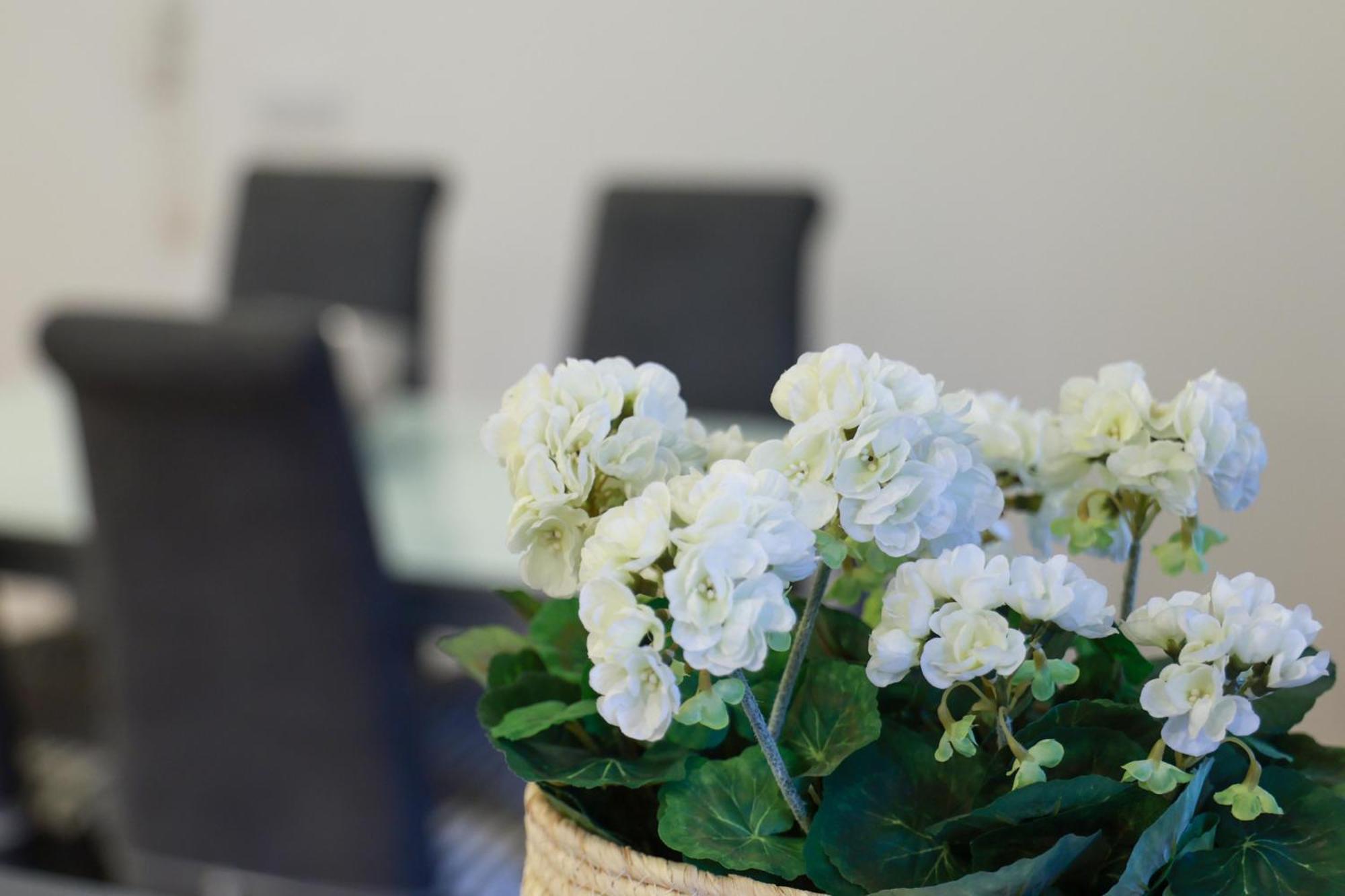 Guest House Abegorias Nazare Ngoại thất bức ảnh