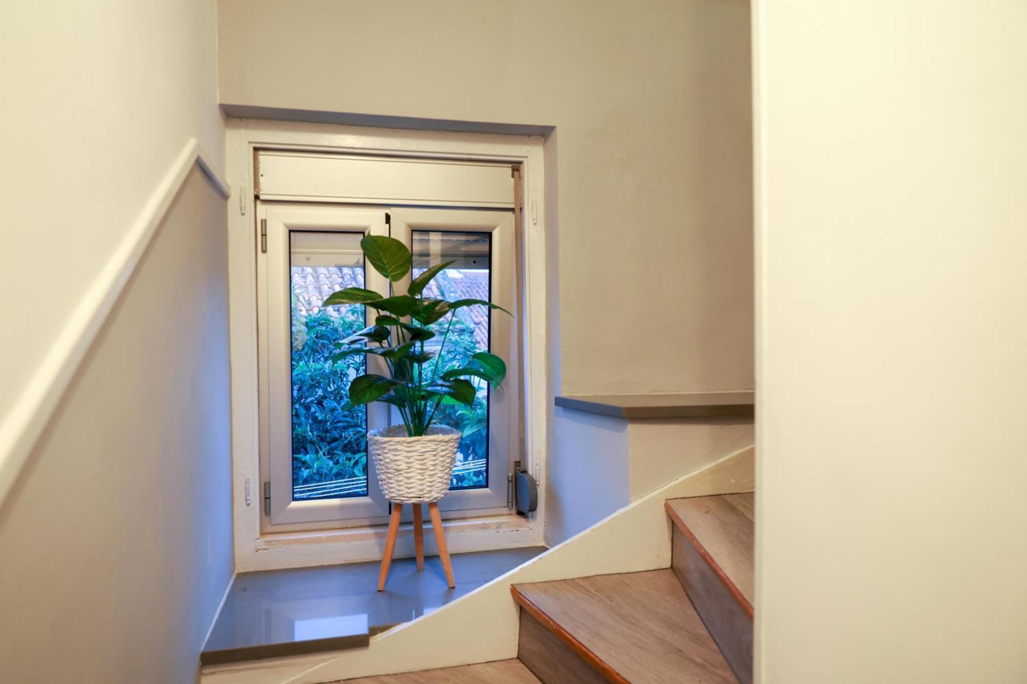 Guest House Abegorias Nazare Ngoại thất bức ảnh